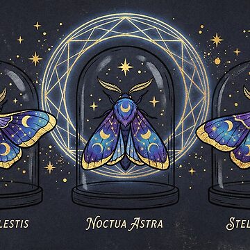 Artwork thumbnail, Celestial Moth Collection by Day Dreamer