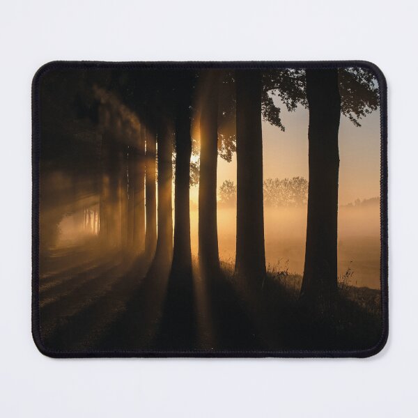 Item preview, Sunbeams through the fog – Mystical forest at sunrise designed and sold by Mauswohn.
