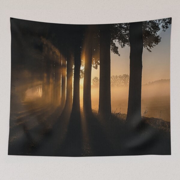 Item preview, Sunbeams through the fog – Mystical forest at sunrise designed and sold by Mauswohn.