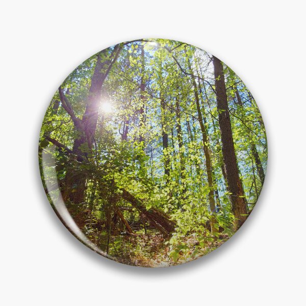 Item preview, Sun Peaking Through the Appalachian Forest designed and sold by Spiral Roots.