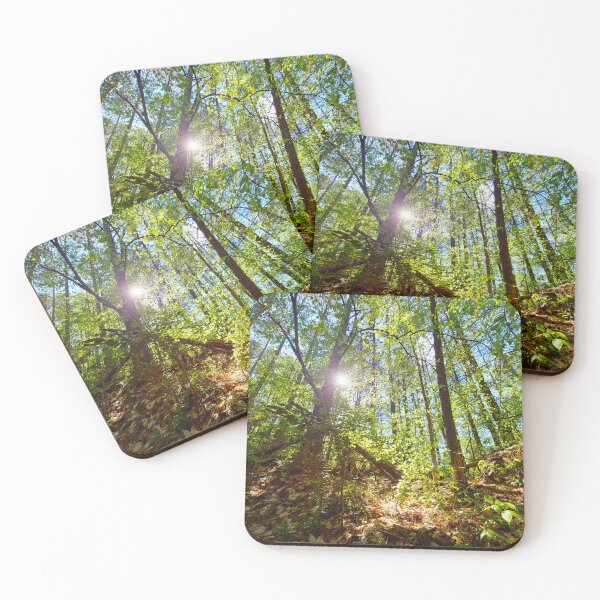 Item preview, Sun Peaking Through the Appalachian Forest designed and sold by Spiral Roots.