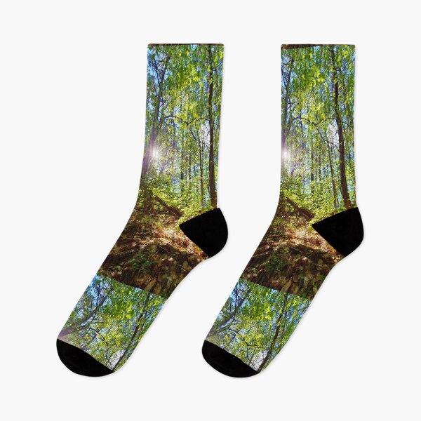 Item preview, Sun Peaking Through the Appalachian Forest designed and sold by Spiral Roots.