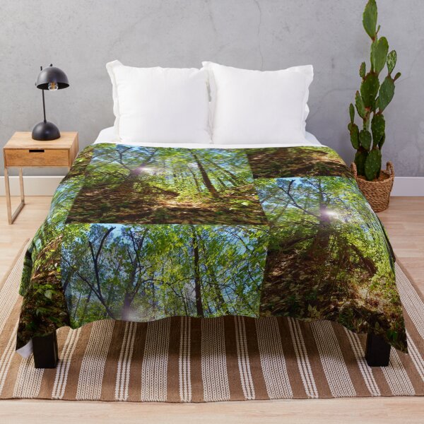 Item preview, Sun Peaking Through the Appalachian Forest designed and sold by Spiral Roots.