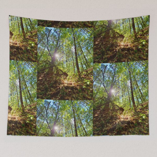 Item preview, Sun Peaking Through the Appalachian Forest designed and sold by Spiral Roots.