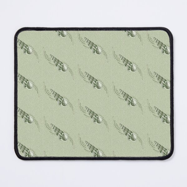 Item preview, Shells and sea breeze in sage green designed and sold by LisaLeQuelenec.