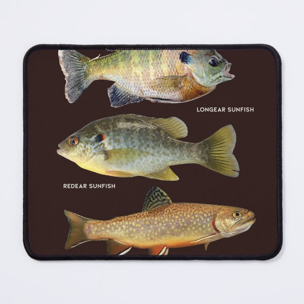 Item preview, West Virginia Native Fish designed and sold by MoreWaterThanBlood.