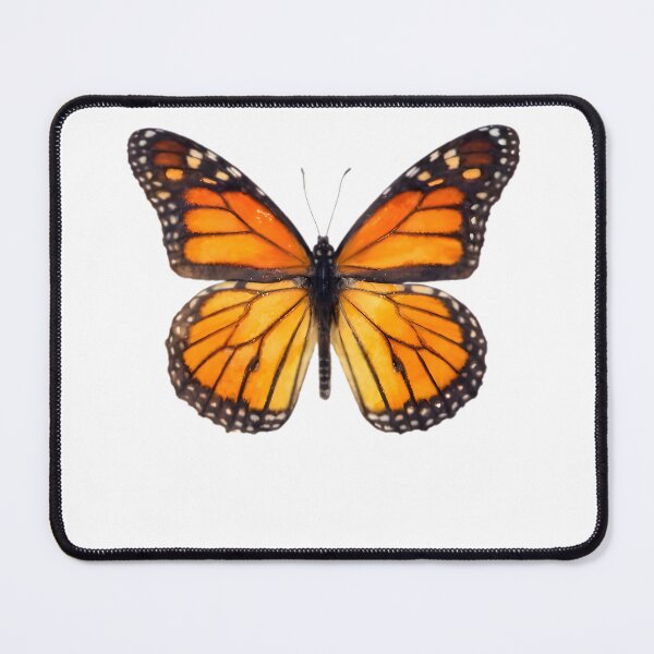 Item preview, Monarch (Danaus plexippus) designed and sold by HOMETOWN86.