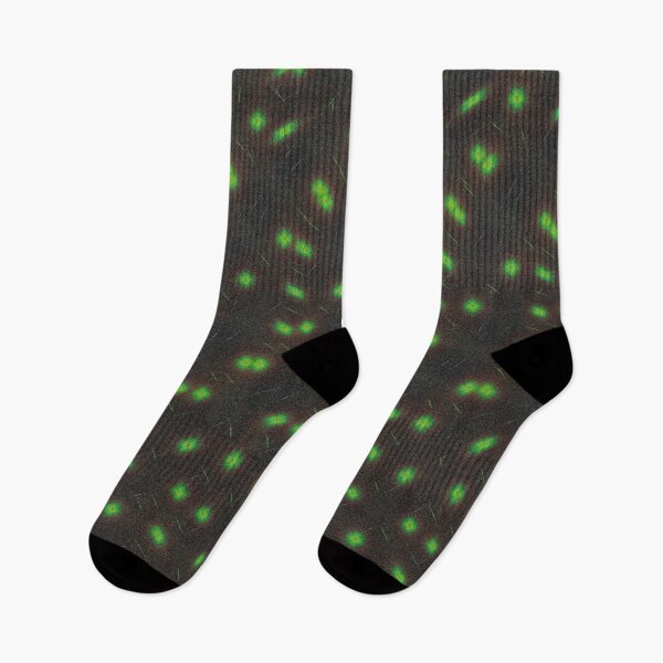 Item preview, Cross patterns of lights designed and sold by Alan-David.