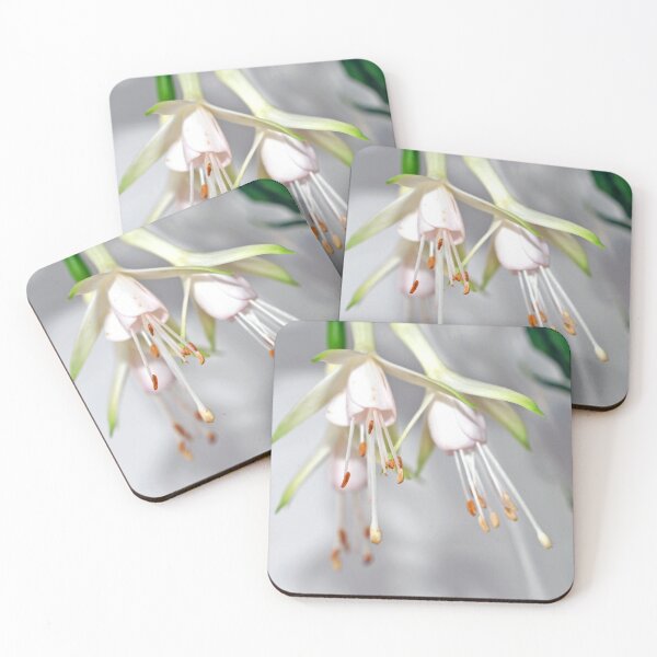 Item preview, White Fuchsia Hawkshead Summer Flower designed and sold by AndyEvansPhotos.