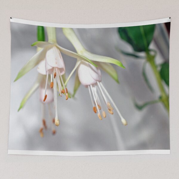 Item preview, White Fuchsia Hawkshead Summer Flower designed and sold by AndyEvansPhotos.