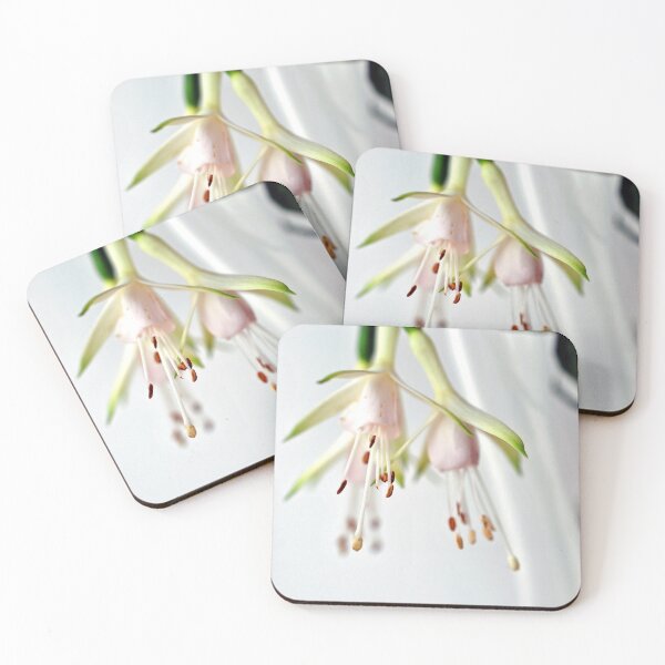 Item preview, White Fuchsia Hawkshead Summer Flower designed and sold by AndyEvansPhotos.
