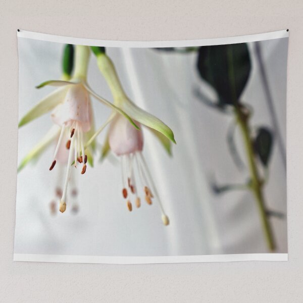 Item preview, White Fuchsia Hawkshead Summer Flower designed and sold by AndyEvansPhotos.