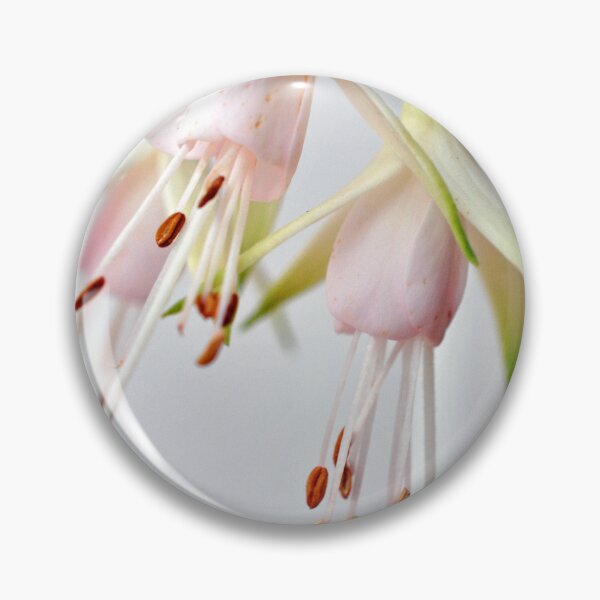 Item preview, White Fuchsia Hawkshead Summer Flower designed and sold by AndyEvansPhotos.