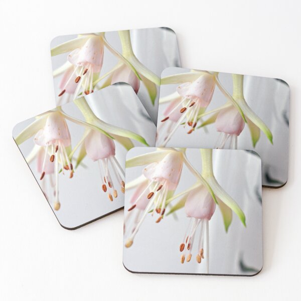 Item preview, White Fuchsia Hawkshead Summer Flower designed and sold by AndyEvansPhotos.