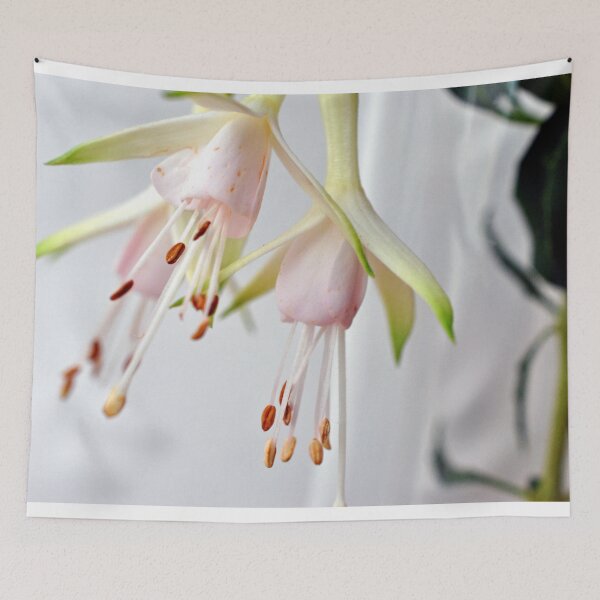 Item preview, White Fuchsia Hawkshead Summer Flower designed and sold by AndyEvansPhotos.