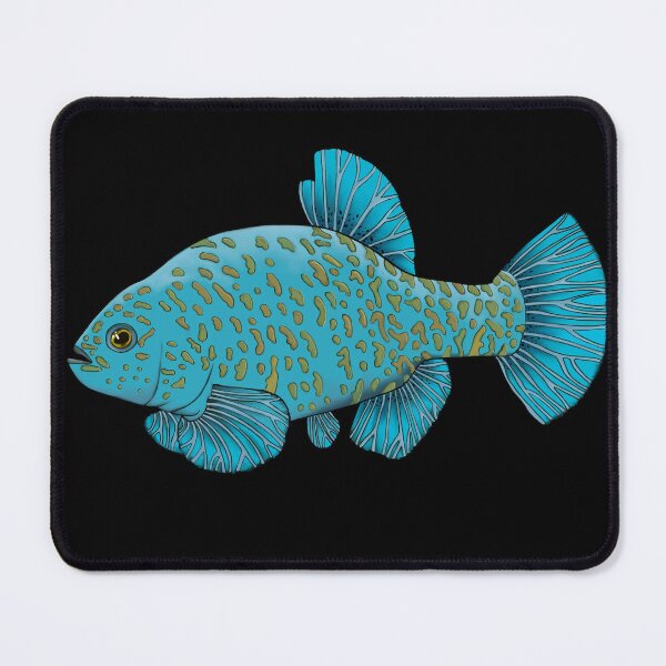 Item preview, Comanche Springs Pupfish designed and sold by LittleClayFrog.