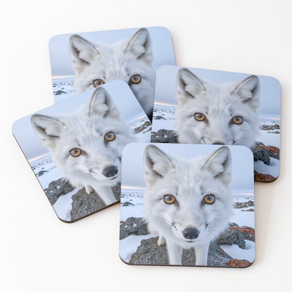 Item preview, Arctic Fox – Snowy Tundra POV designed and sold by SteadyRolling.