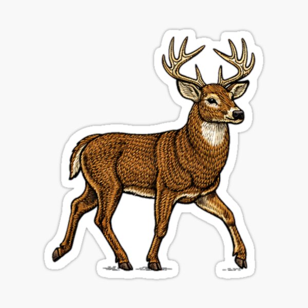 Embroidered-Style Whitetail Deer Sticker