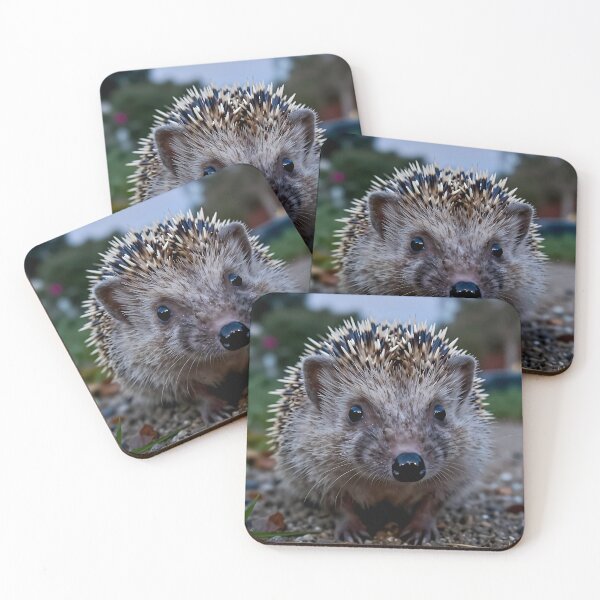 Item preview, Hedgehog – Night Garden POV designed and sold by SteadyRolling.