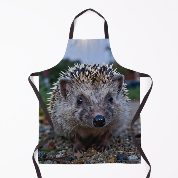 Item preview, Hedgehog – Night Garden POV designed and sold by SteadyRolling.