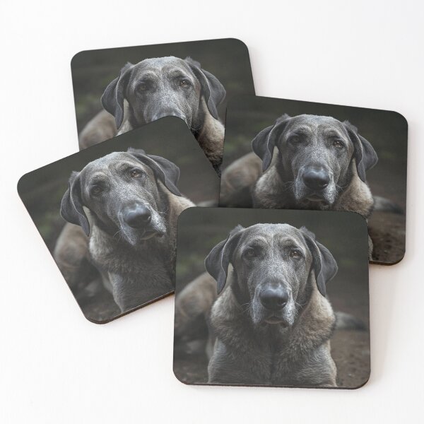Item preview, Irish Wolfhound_Fenric | ArtivaNest Pet Verse  designed and sold by ArtivaNest.