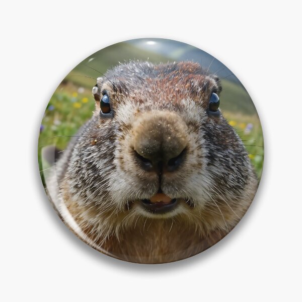 Item preview, Alpine Marmot – Meadow POV designed and sold by SteadyRolling.