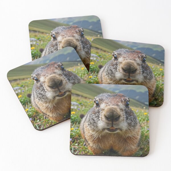 Item preview, Alpine Marmot – Meadow POV designed and sold by SteadyRolling.