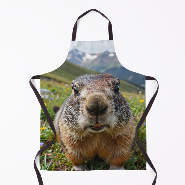 Item preview, Alpine Marmot – Meadow POV designed and sold by SteadyRolling.