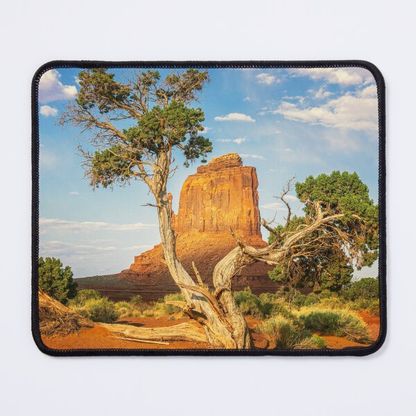 Item preview, Juniper Tree in Monument Valley Arizona designed and sold by PhotoArt by Joan Carroll.
