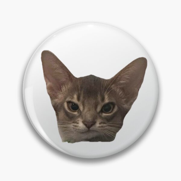 Item preview, Judgy Cat Meme designed and sold by postbravery.
