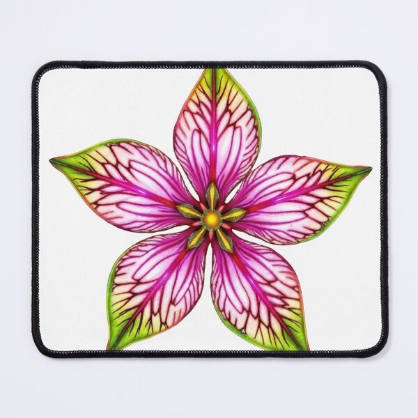 Item preview, Vibrant caladium flower with colorful leaves and pink center designed and sold by Creative88Art.