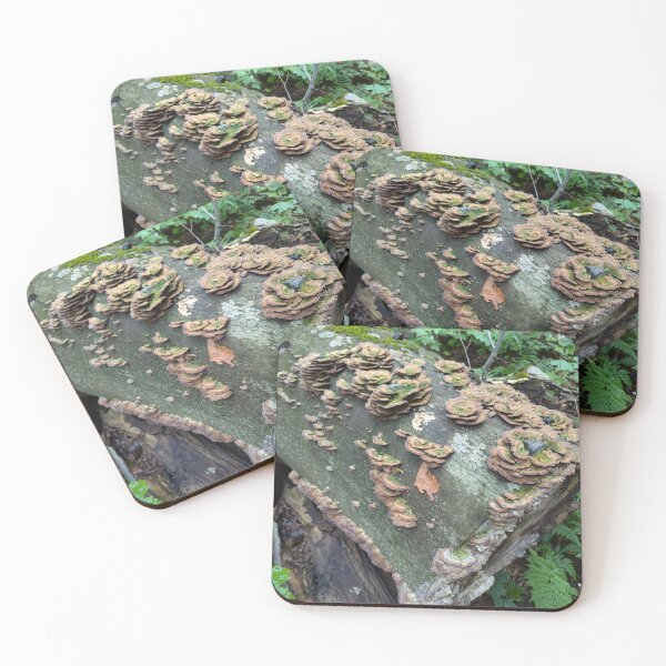 Item preview, Turkey Tail Mushrooms designed and sold by Photogenic Snap.