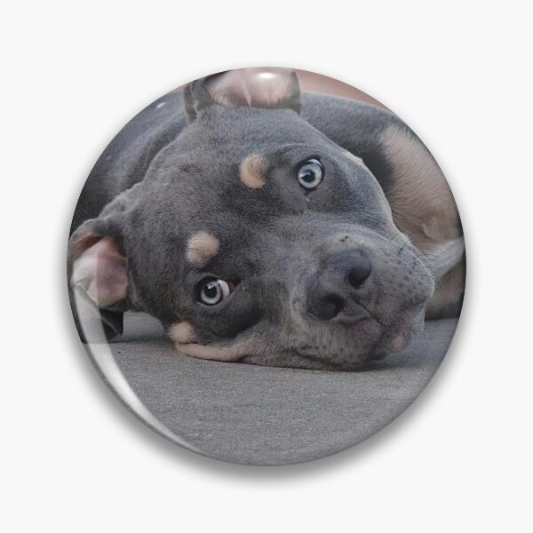 Item preview, Pit bull puppy designed and sold by Courtney Croxall.