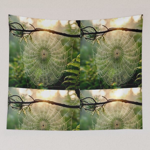 Item preview, Intricate Spider Web with Morning Dew in Forest designed and sold by Fatomfatom.