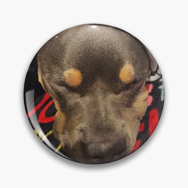 Item preview, Sleepy puppy designed and sold by Courtney Croxall.