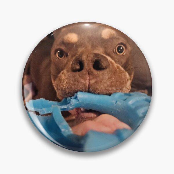Item preview, Silly puppy designed and sold by Courtney Croxall.