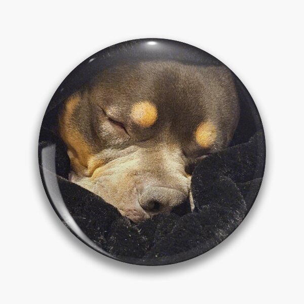 Item preview, Sleepy puppy designed and sold by Courtney Croxall.