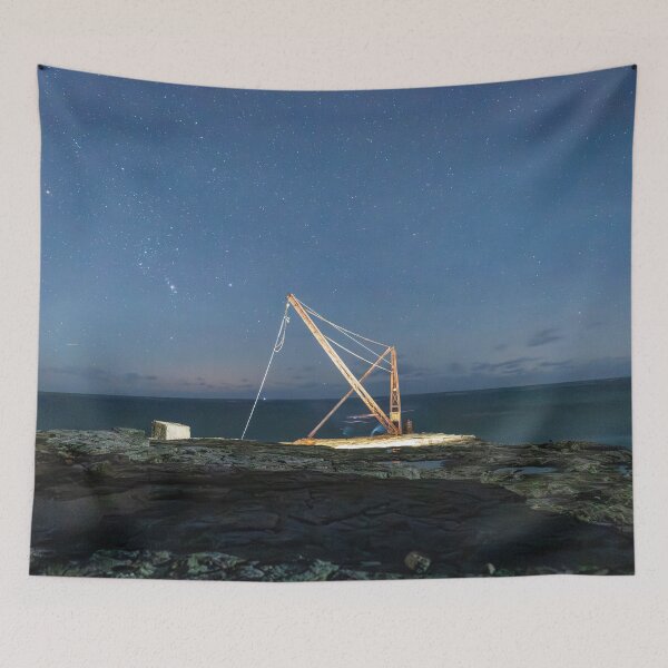 Item preview, Red Crane on a starry night designed and sold by Aham Photos.