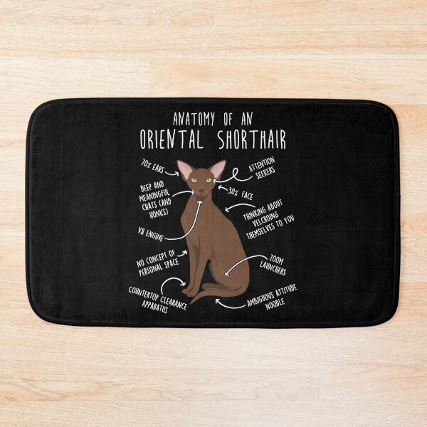 Item preview, Chestnut Oriental Shorthair Cat Anatomy designed and sold by Clara Hollins.