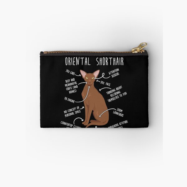 Item preview, Cinnamon Oriental Shorthair Cat Anatomy designed and sold by Clara Hollins.