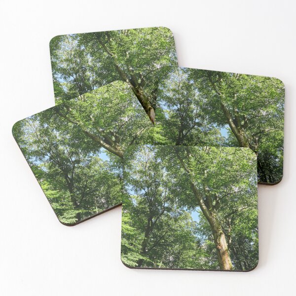 Item preview, Verdancy designed and sold by Eidetic Photos.