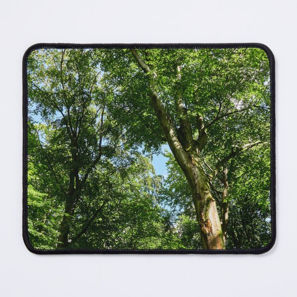Item preview, Verdancy designed and sold by Eidetic Photos.