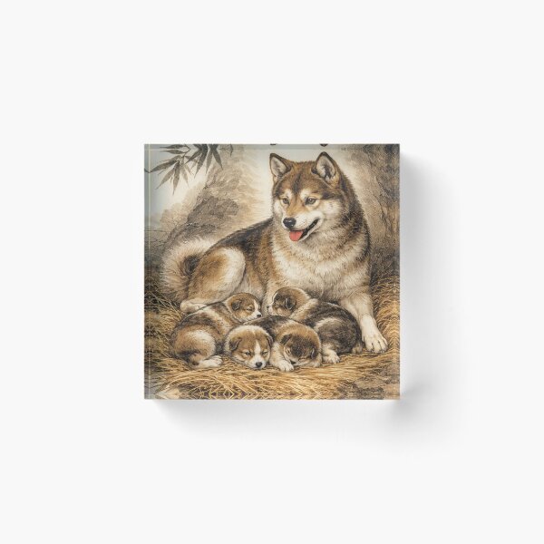 Item preview, Maternal Protection – Xieyi Yuan designed and sold by DrizzyV.