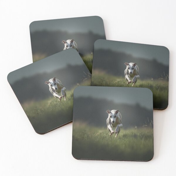Item preview, A fast-moving Whippet racing on a grassy track, Dogs in Motion designed and sold by CDC40.