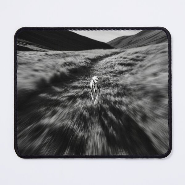 Item preview, A fast-moving Whippet racing on a grassy track, Dogs in Motion designed and sold by CDC40.