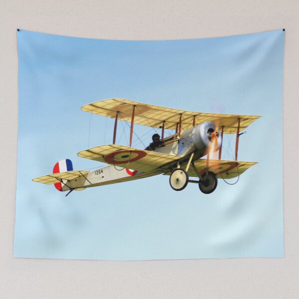 Item preview, Bristol Scout C 1264 flies past designed and sold by MartinPhotos.