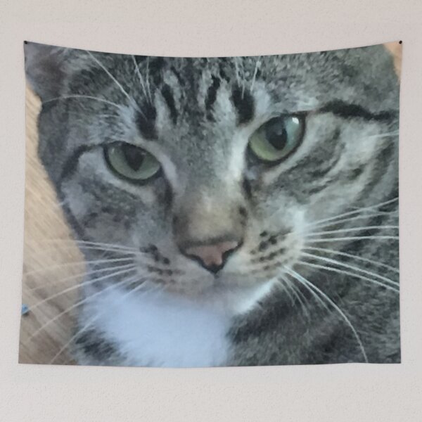Item preview, The Great Nooks designed and sold by Star-Meows.