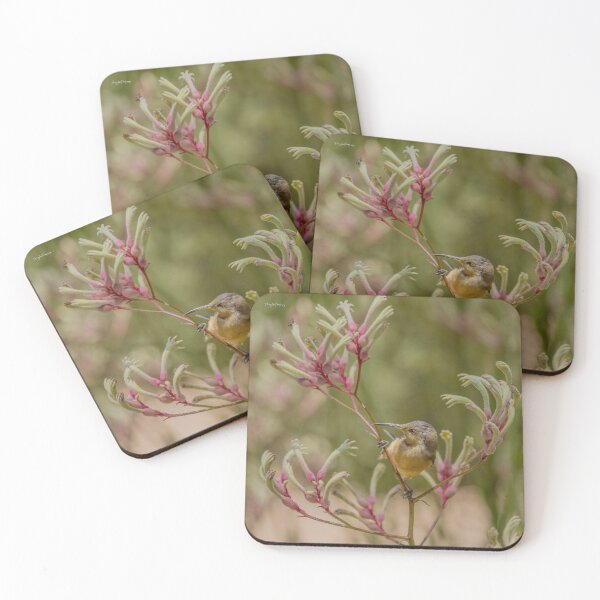 Item preview, Eastern Spinebill amongst kangaroo paw designed and sold by Luke Foster.