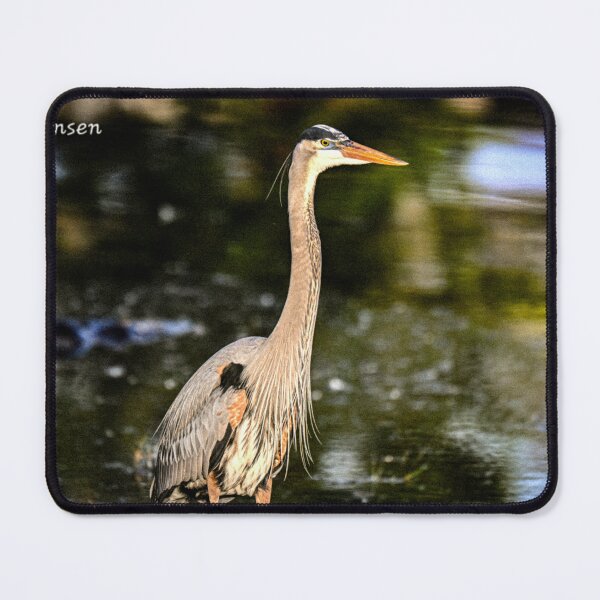 Item preview, Wading designed and sold by Glennphotos.