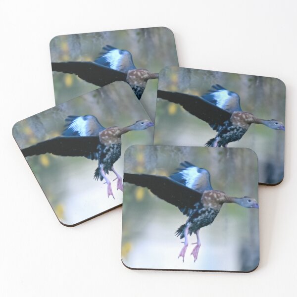 Item preview, Landing  designed and sold by Glennphotos.